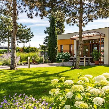 Hotel Garni Steinfeld وينر نويشتاد المظهر الخارجي الصورة