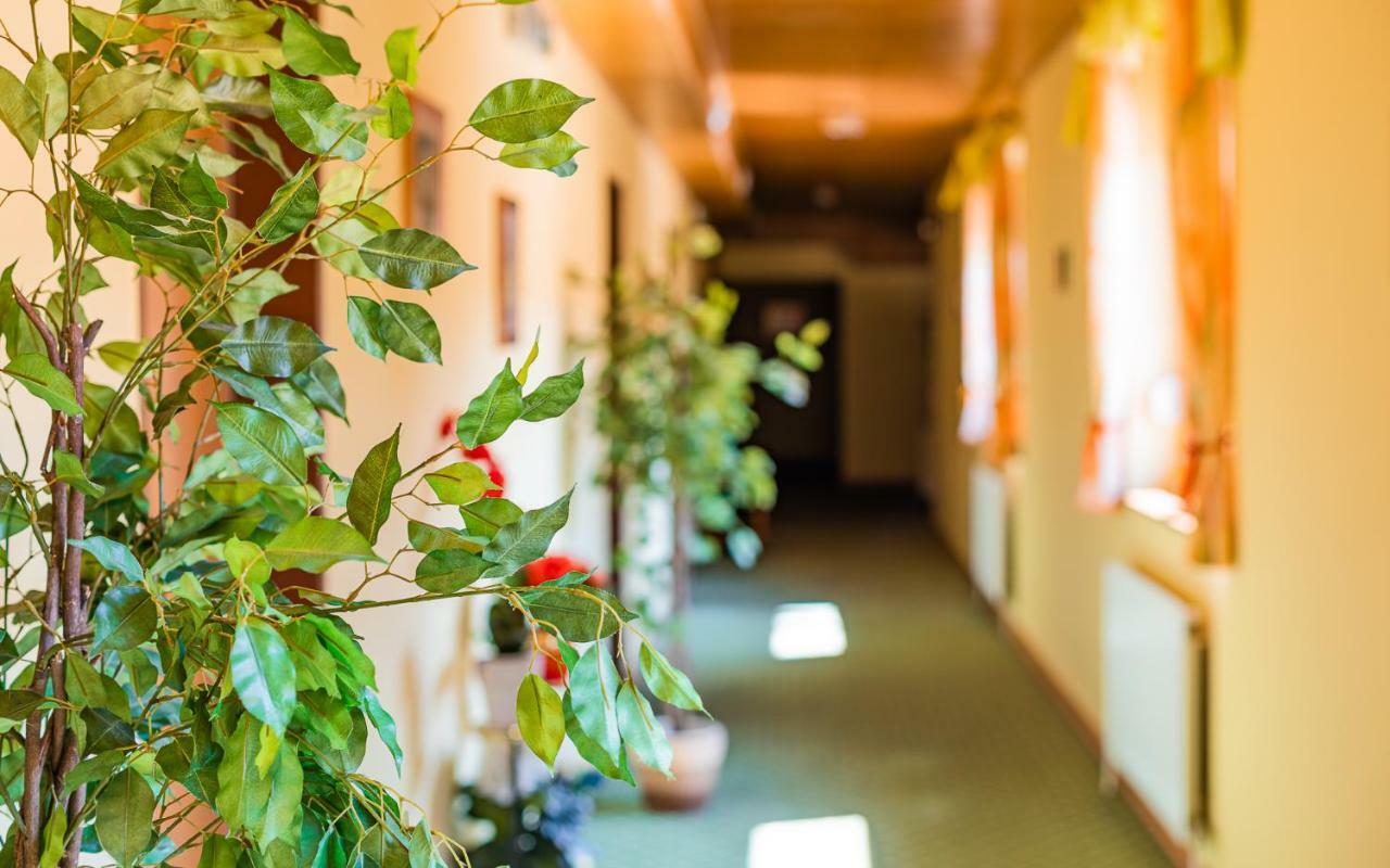 Hotel Garni Steinfeld وينر نويشتاد المظهر الخارجي الصورة